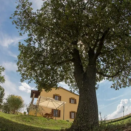 San Giuseppe Volterra